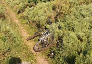 Tocht Mountainbike Les Estables - L'Estable Bachasson - Photo