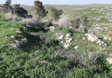 Trail On foot Bnei Shimon Regional Council - IL-continues northeast - route uncertain - Photo