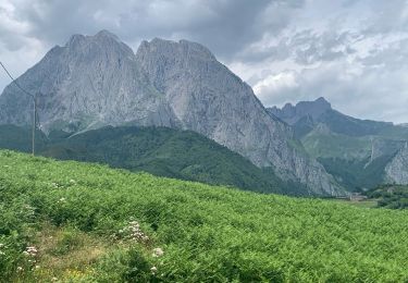 Trail sport Etsaut - Etsaut Lescun - Photo