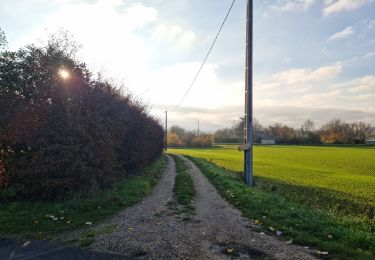 Tocht Stappen Mazangé - Bonaventure - Moulin de la Loupe - Photo