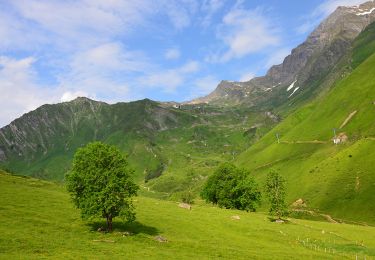 Trail Walking Cauterets - Cauterets vers la Cascade de Sahucs par le GR10 - Photo