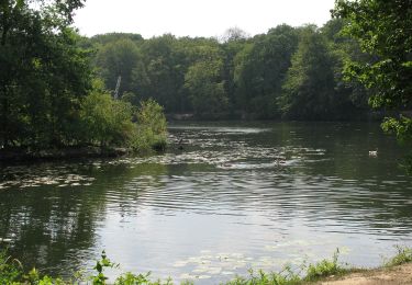 Tocht Te voet Onbekend - Sossenheimer Obstpfad - Photo