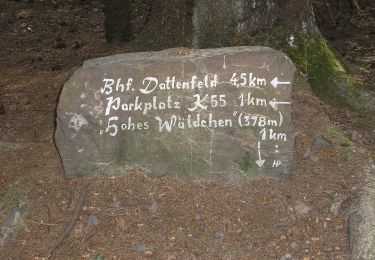 Trail On foot Windeck - Nutscheid Rundweg Vollquadrat - Photo