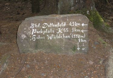 Tocht Te voet Windeck - Nutscheid Rundweg Vollquadrat - Photo