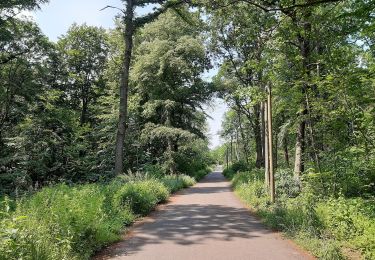 Tocht Te voet Querfurt - Hermannseck-Lodersleben - Photo