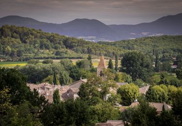 Tour Wandern Espeluche - Espeluche.  Le Bois Jamot 8km - Photo