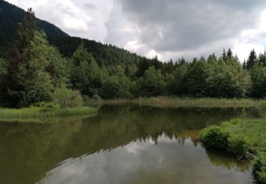 Tour Wandern Saint-Martin-d'Uriage - séglières 2013 - Photo