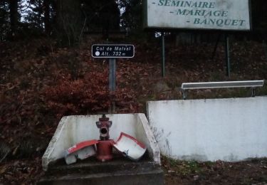 Tocht Stappen Vaugneray - boucle de Vaugneray, Cunieux, code la Garde, col de Malval  - Photo