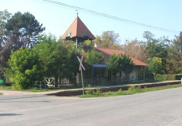 Excursión A pie Gádoros - K+ (Árpádhalom - Orosháza Gyopárosfürdő - Gádoros) - Photo