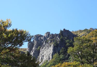Randonnée Marche Le Valtin - sentiers des roches  depuis la schlucht - Photo
