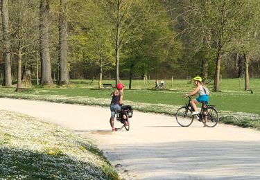 Tocht Mountainbike Terhulpen - Retour Solvay - Photo