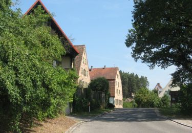 Percorso A piedi Roth - Naturlehrpfad Bernloher Wald - Photo