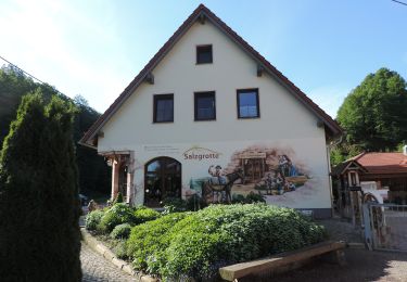 Tour Zu Fuß Limbach-Oberfrohna - Ww Limbach-O.-Bräunsdorf-Wolkenburg - Photo