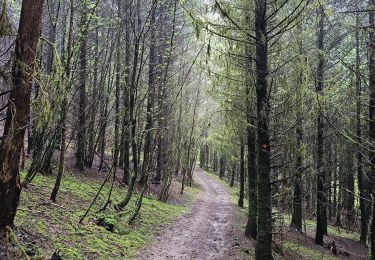 Tour Wandern Écrille - Quelque part dans le Jura 🥾 - Photo
