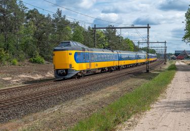 Excursión A pie Rijssen-Holten - WNW Twente Look - oranje route - Photo