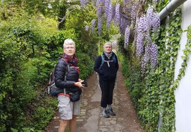 Trail Walking Linkebeek - 2019-05-02 Linkebeek 20 km - Photo