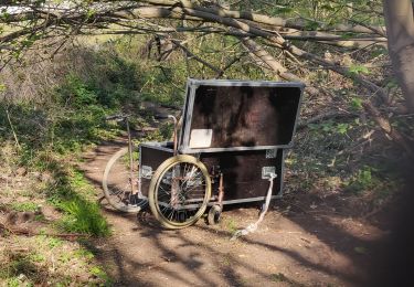 Tour Wandern Watermael-Boitsfort - Watermaal-Bosvoorde - chemins interdits...W.B - Photo