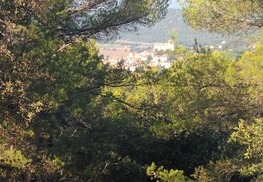 Excursión Senderismo Gréoux-les-Bains - st Martin de bromes - Photo