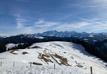 Tour Schneeschuhwandern La Giettaz - Col des Aravis - Photo