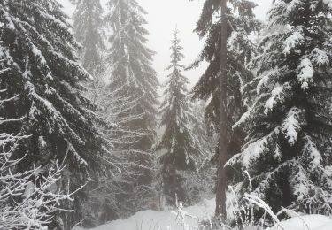 Percorso Racchette da neve La Clusaz - 221210 pointe de beauregard - Photo