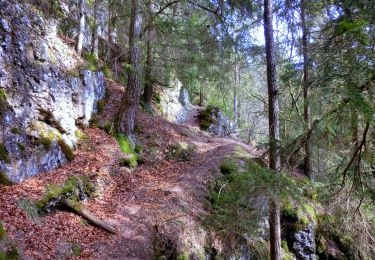 Trail On foot Pegnitz - Rundweg Hollenberg 2 grün - Photo