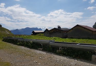 Tour Wandern Nancy-sur-Cluses - ROMME VORMY 19-07-2024 - Photo