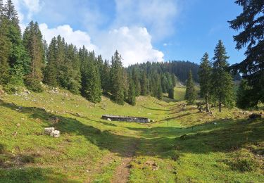 Trail Mountain bike Les Rousses - Les  Rousses  - Photo