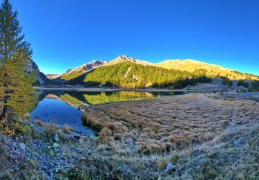 Trail Walking Jausiers - Cîme de Voga Via Jausier (lac de Sagne) - Photo