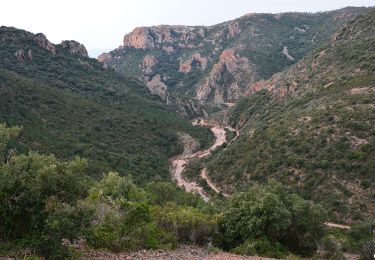 Randonnée Marche Saint-Raphaël - Pk Col Belle Barbe - Cols du Perthus et Suvières - Photo