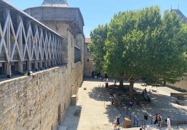 Tocht Stappen Carcassonne - Carcassonne Cité  - Photo