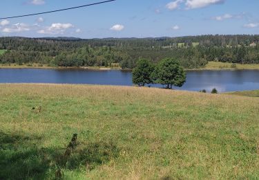 Tour Wandern Bellefontaine - Lac de Bellefontaine er lac des Mortes . - Photo