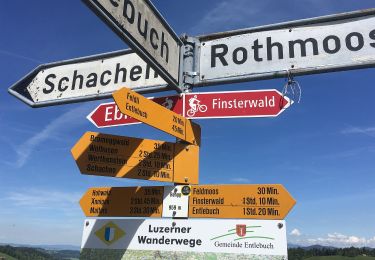 Randonnée A pied Entlebuch - Chlosterwald - Rengg - Photo