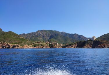 Randonnée Bateau à moteur Ota - Calanques par la mer Scandola Girolata - Photo