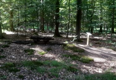 Trail Walking Limbourg - lim bourg et environs 17km - Photo