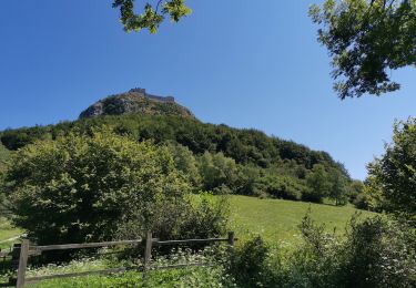 Tour Wandern Montségur - CLA09-08 Château de Montségur - Photo