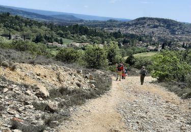 Tour Wandern Sigonce - les hameaux  de sigonce - Photo