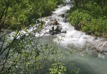 Randonnée Marche Vallorcine - Vallorcine au Buet - Photo