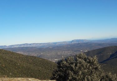 Tocht Stappen Boule-d'Amont - serrabonne - Photo