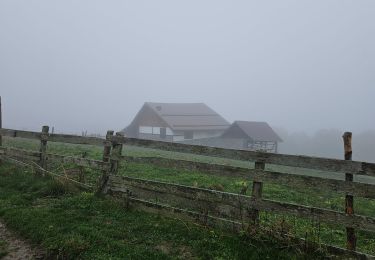 Percorso Marcia Bușteni - busteni-sinaia - Photo