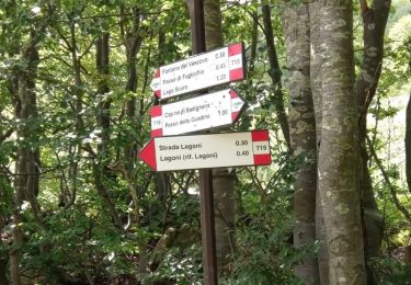 Trail On foot Bagnone - IT-118 - Photo