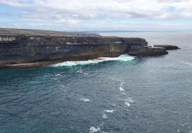 Tocht Stappen Conamara Municipal District - Irishmore sud 9km - Photo