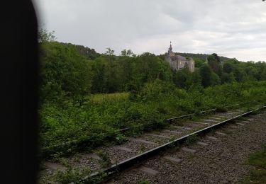 Tocht Stappen Viroinval - Adeps Olloy 19/06/2022 - Photo