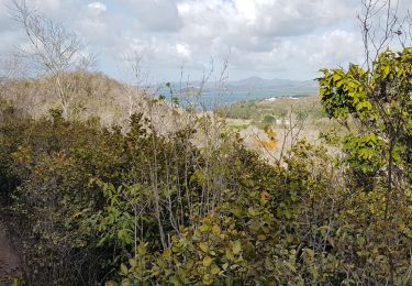 Randonnée Marche Les Trois-Îlets - Anse à l Ane, anse Mitan par le morne - Photo