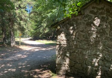 Tocht Stappen Saint-Sauveur-Camprieu - Dourbies Camprieu boucle - Photo