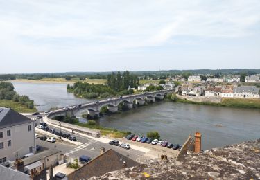 Tour Radtourismus  Candé-sur-Beuvron - E Candé sur Beuvron à Montlouis sur Loire  - Photo