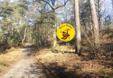Trail On foot Fontaine-Chaalis - RS_ERMENONVILLE_Longue-Route+GPX_3,9km - Photo