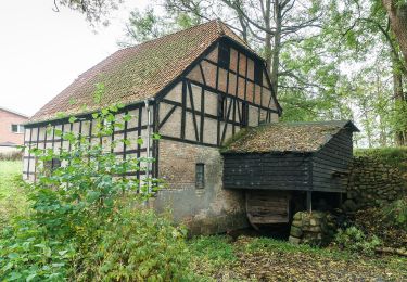 Tour Zu Fuß Aukrug - 16 - Photo