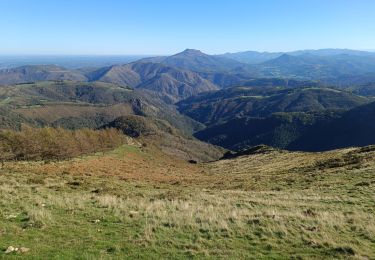 Excursión Senderismo Irún - pena de aia  - Photo