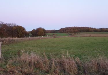 Randonnée Marche Arlon - 4km campagne d arlon - Photo