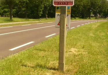 Excursión A pie Twenterand - WNW Twente - Linderflier - oranje route - Photo